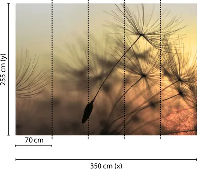 Produktbild von Tadessi Fototapete | Blumen | 3.50 m x 2.55 m | Gelb | Schwarz | Wandbild | Digitaldruck