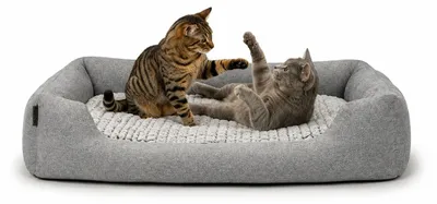 Imagen del producto de Cama para gatos Lionto, cesta de descanso elegante con entrada profunda, cojín reversible y base antideslizante, 110x80 cm, color gris