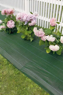 Image de Toile de paillage tissée en polypropylène "Weedsol" 1,50 x 25 m - Vert