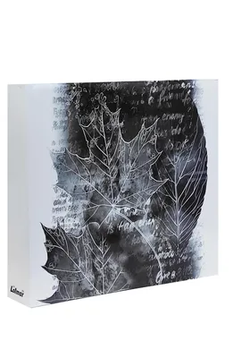 Immagine prodotto di Album fotografico tascabile KPR per 500 foto in formato 10 x 15 cm; cartella TREE nera