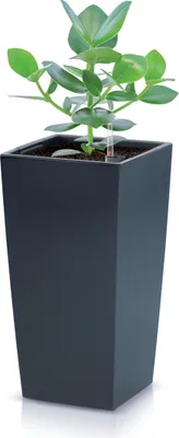 Produktbild von Hoher Blumentopf URBI DURS200 mit Einsatz | Anthrazit