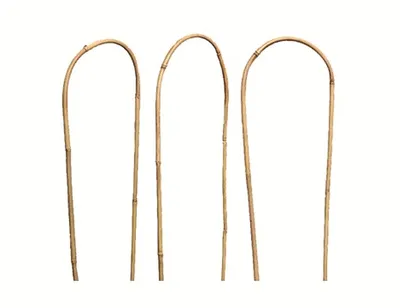 Produktbild von Siena Garden 'U SHAPE' Rankhilfe 120cm Bambus, U-Form, Ø12-14mm, natur (3er Pack)