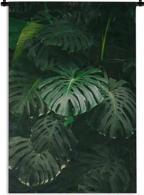 Produktbild von MuchoWow® Wandteppich Wandbehang Blätter - Monstera - Muster - Mädchen - Kinder - Jungen 120x180 cm Tapisserie Dekoration Wandtuch - Schlafzimmer - Dekorationen für das Haus