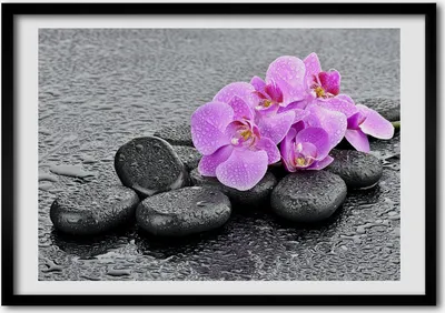 Produktbild von Bild - Bilder - Bilderrahmen - 70 cm x 50 cm - MDF-Rahmen, Wandkunst Orchideen Steine