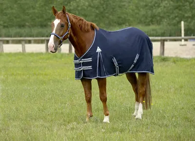 Produktbild von EQUI THÈME Baumwolldecke 135 cm