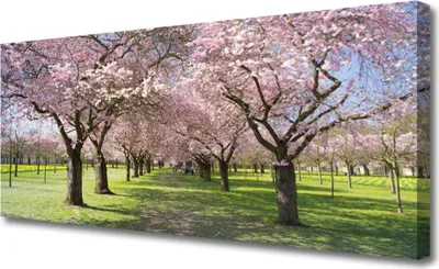Produktbild von Tulup Leinwand-Bilder 125x50 Wandbild Canvas Kunstdruck Fußpfad Bäume Natur