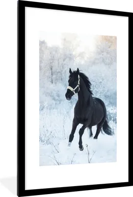 Produktbild von MuchoWow® MuchoWow® Gerahmtes Poster Pferd - Schnee - Wald 60x90 cm - Poster mit zchwarzem Bilderrahmen - Dekoration - Wandposter Wohnzimmer - Hochwertig
