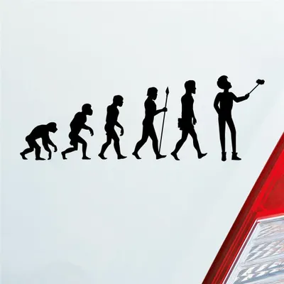 Produktbild von Auto Aufkleber Evolution Selfie Stick Handy Entwicklung Darwin 19x6,7 cm Schwarz Glanz Sticker Heckscheibenaufkleber