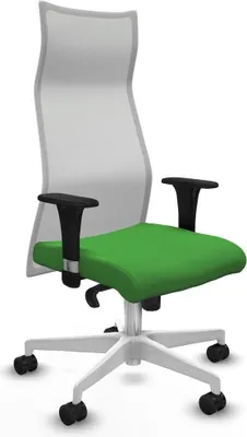 Immagine prodotto di Bürostuhl Piqueras y Crespo B1C026N grün