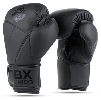 Immagine prodotto di Guanti da boxe DBX BUSHIDO B-2v15B 14oz.
