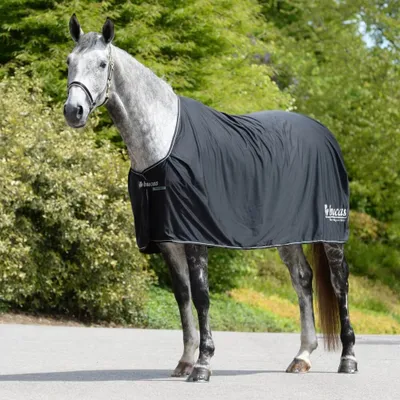 Produktbild von Bucas Abschwitzdecke Prize Cooler Black 125