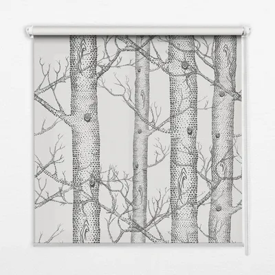 Produktbild von Seitenzug-Rollo Fensterrollo Jalousie - Lichtdurchlässig Springrollos - 90x180 cm - Stängel