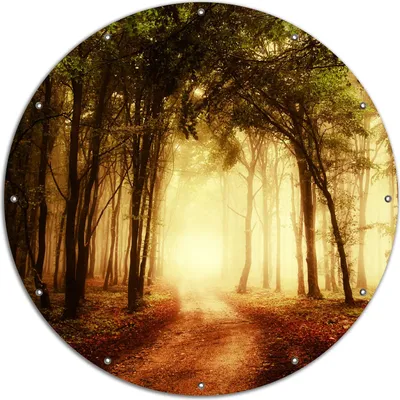 Produktbild von Wallario rundes Outdoor-Poster für Garten oder Balkon, Motiv Sonnenuntergang auf dem Waldweg, 120 cm Durchmesser