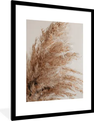 Produktbild von MuchoWow® Gerahmtes Poster Gras - Pflanzen - Natur - Pampasgras 60x80 cm - Poster mit Schwarzem Bilderrahmen Wandposter Rahmen Foto Bilder - Wohnzimmer - Dekorationen - Prämie