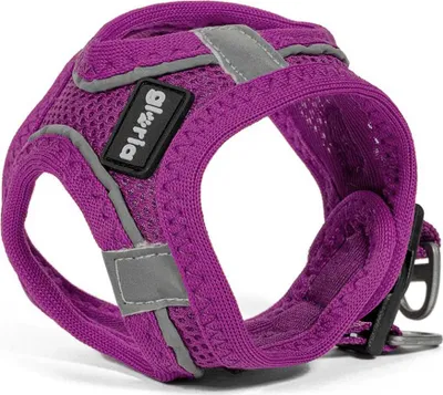 Zdjęcie produktu dla Gloria Air Mesh Trek Star Hundegeschirr XS XS