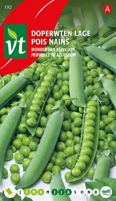 Produktbild von Zuckererbse Wonder Of Kelvedon Samen - Ca. 50 gr | VT_192