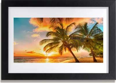 Produktbild von Bild 30x20 MDF-Rahmen Wandkunst Palme, Meer, Landschaft