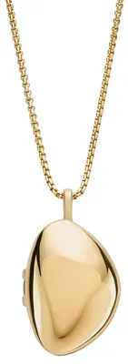 Produktbild von Skagen Damen Kette Halskette Edelstahl Kariana Gold Medaillon SKJ1752710
