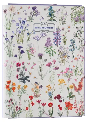 Image de Erik Editores Wild Flowers Classeur Multicolore Multicolore One Size