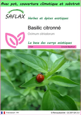 Image de SAFLAX Garden to go - Basilic citronné - 200 graines - Ocimum
