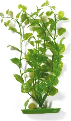 Zdjęcie produktu dla Hagen MA Aquascaper Cardamine 30 cm; PP1205
