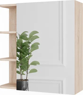 A mirror cabinet with shelves and a potted plant.