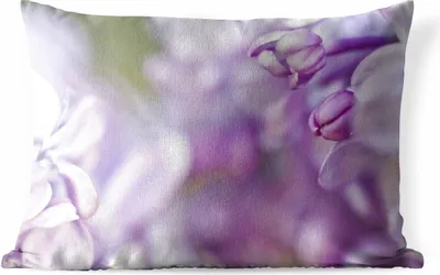 Produktbild von MuchoWow® Outdoor Kissen - Nahaufnahme eines lila Lavendels - 60x40 cm - Wetterfest - Lounge Kissen - Zierkissen - Kissen für Innenräume