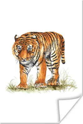 Produktbild von MuchoWow® Poster Tiger - Kopf - Gras 20x30 cm - Papierdruck