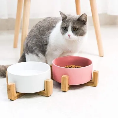 Image de Panier pour chien