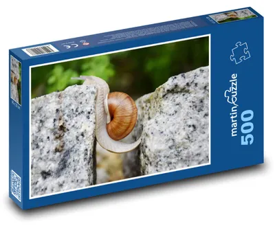 Zdjęcie produktu dla Puzzle 500 Ślimak między kamieniami - martinpuzzle