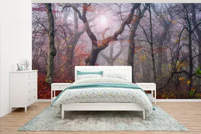 Produktbild von MuchoWow® Fototapete für Wohnzimmer oder Schlafzimmer Wandtapete Vinyl Motivtapete Blätter - Sonne - Wald - Natur - 500x280 cm - Fototapeten