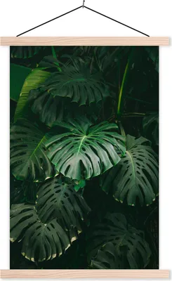 Produktbild von MuchoWow® Textilposter Blätter - Monstera - Muster - Mädchen - Kinder - Jungen 40x60 cm mit holzfarbenen Rahmen - Poster