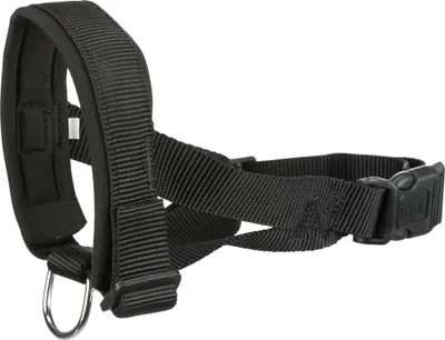 A black dog muzzle is shown against a white background.