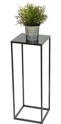 A potted plant sits on a black metal plant stand.