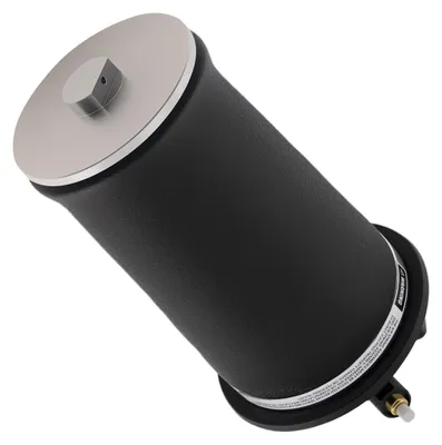 Produktbild von Luftfederung Federein for Range Rover Gen-3 P38 P38A Bj. 95-02 Hinten RKB101460