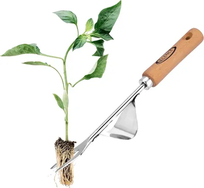 Image de Extracteur de mauvaises herbes et de racines en acier inoxydable avec manche en bois, outil de jardinage manuel pour creuser, désherber et sarcler, idéal comme cadeau pour tout passionné de jardinage