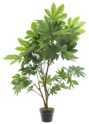 Produktbild von Kunstliche Pflanze - Aralia Efeu - im Topf - 90 cm
