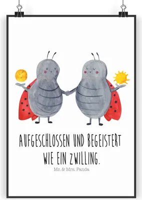 Produktbild von Mr. & Mrs. Panda Bild Sternzeichen Zwilling DIN A5 - Weiß - Geschenk, drucke, wanddeko, Marienkäfer, Zwillinge, kunstdruck poster, Zwillingsbruder, Wandbild, Plakat