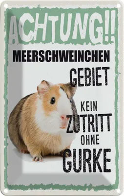 Produktbild von vianmo Blechschild 18x12 cm Tiere Achtung Meerschweinchen Tier Haustier