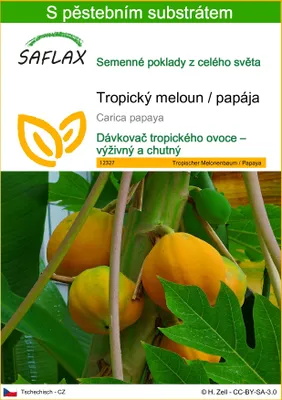 Obrázek produktu pro SAFLAX - Tropický meloun / papája - Carica papaya - 30 Semena - S pěstebním substrátem bez klíčků