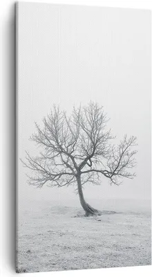 Produktbild von Bild auf Leinwand - Leinwandbild - Baum Feld Natur - 45x80cm - Wand Bild - Wanddeko - Wandbilder - Leinwanddruck - Bilder - Kunstdruck - Wanddekoration - Leinwand bilder - Wandkunst - PA45x80-3683