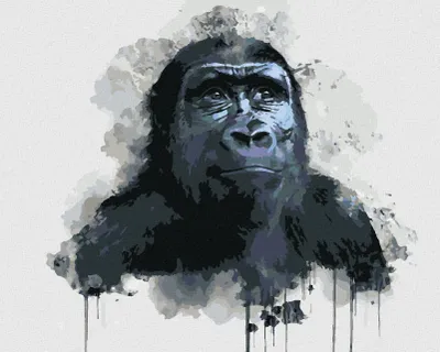 Produktbild von Zuty - Malen nach Zahlen - SCHWARZER GORILLA, 40x50 cm, mit Keilrahmen (bereits gespannt)