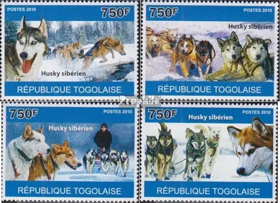 Produktbild von Briefmarken Togo 2010 Mi 3714-3717 (kompl.Ausg.) postfrisch Schlittenhunde