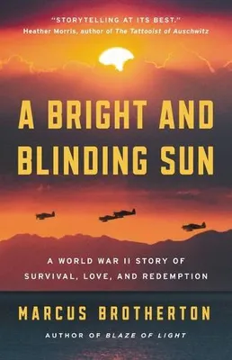 Obrázek produktu pro A Bright and Blinding Sun
