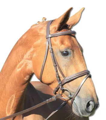 Produktbild von Waldhausen Star Lifestyle Trensenzaum