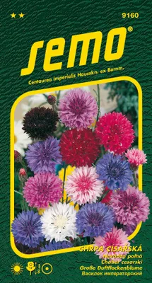 Produktbild von Samen – Flockenblume