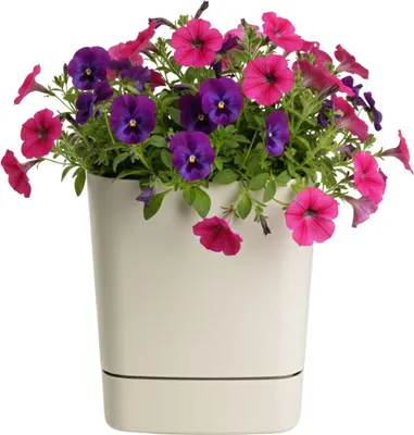 Immagine prodotto di HowHomely | Vaso da fiori con sottovaso - Fioriera - beige - 30x30 cm - in materiale riciclato - Coprivaso - Vaso da fiori