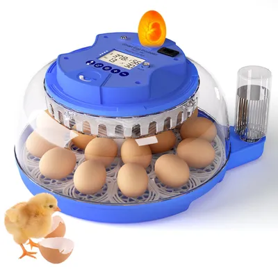 Brutmaschine für 18 Eier, automatischer Eierdreher, Temperaturregelung