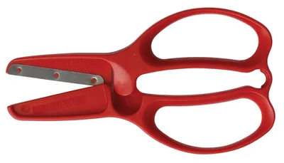 Immagine prodotto di Forbici per bambini in età prescolare, marca Fiskars, colore casuale, lunghezza 11 cm