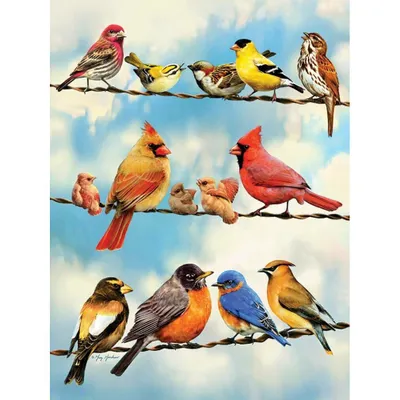 Image de COBBLE HILL Puzzle Birds on a Wire 500 Teile